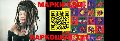 гашик Кимры