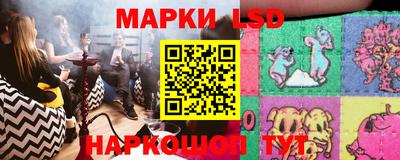 стаф Кинель