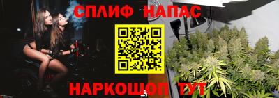 гашик Кимры