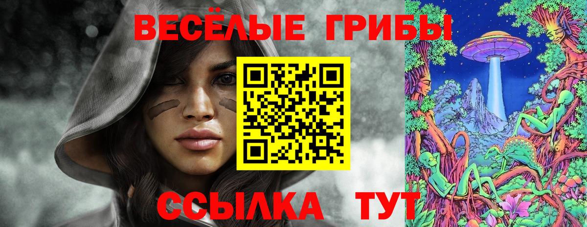 Псилоцибиновые грибы мицелий Каспийск